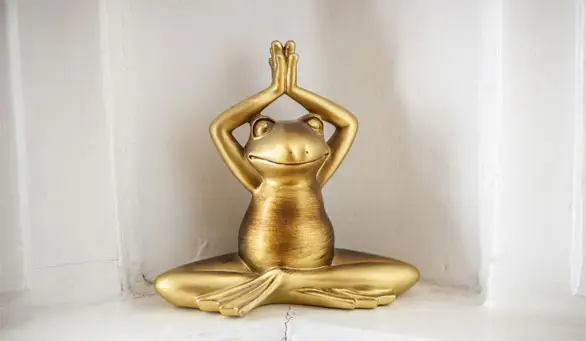 Argora Tagesklinik Berlin Yoga